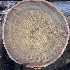 AFRICA TALI WOOD LOGS / BIG PLANK WOOD LUMBER / SAWN TIMBER