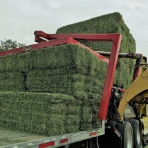 ALFALFA HAY PREMIUM STANDARD FOR SALE