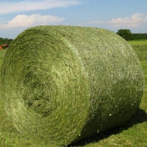 ALFALFA HAY PREMIUM STANDARD FOR SALE