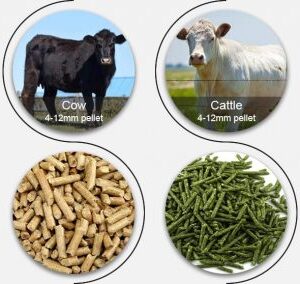ANIMAL FEED WHOLESALE