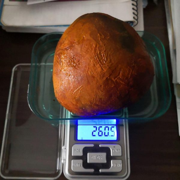 Buy-Ox-Cow-Gallstones-010-600x600