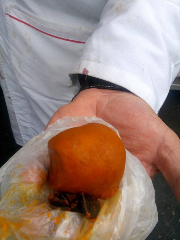 Buy-Ox-Cow-Gallstones-600x800