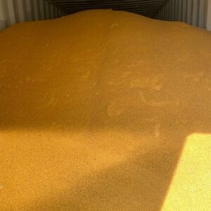 CORN DISTILLER’S DRIED GRAINS WITH SOLUBLES (DDGS) WHOLESALE