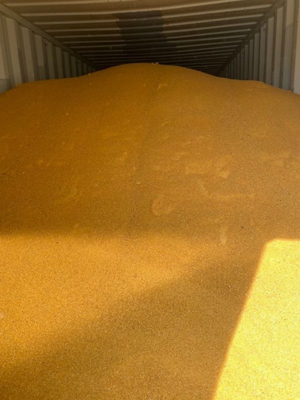 Corn-DDGS-0002-600x801