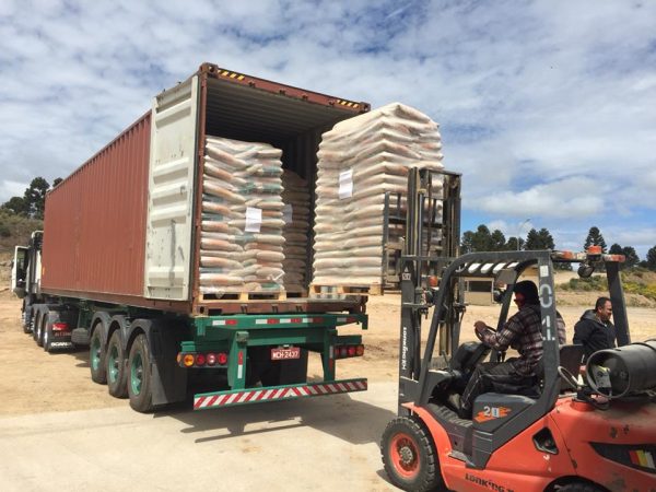 LanGrupo-Wood-Pellets-007-600x450