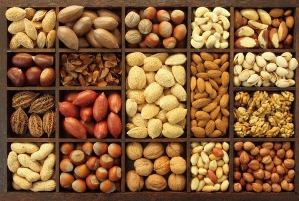 nuts-600x405